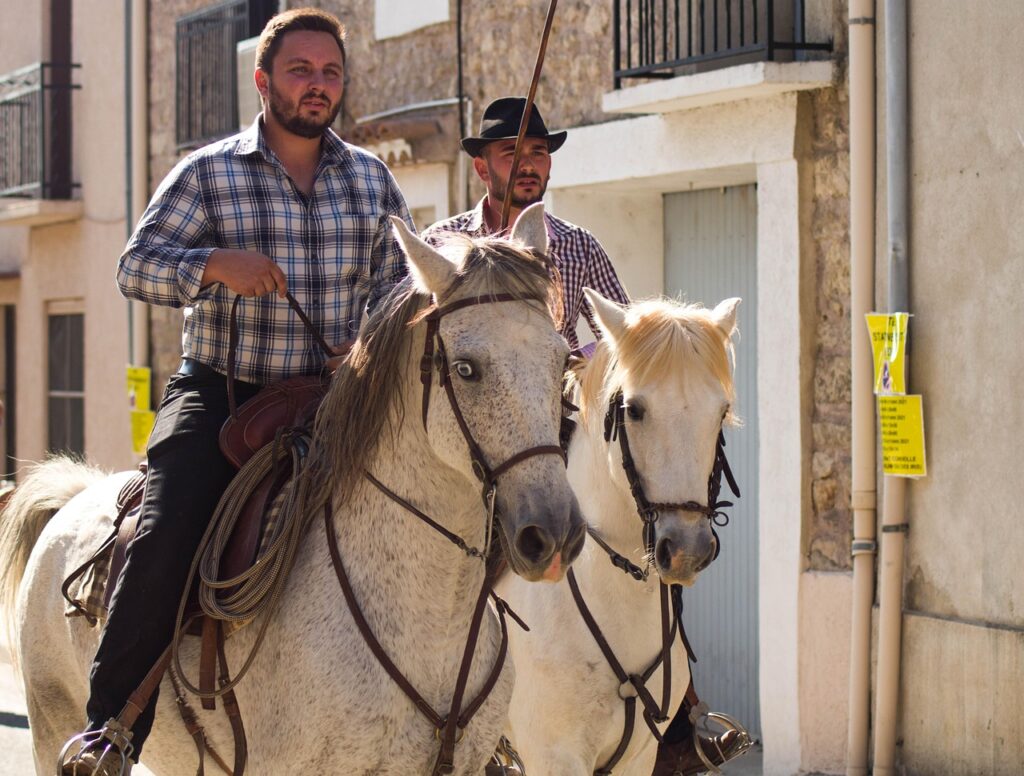 中学受験において保護者ができることは何ですか？