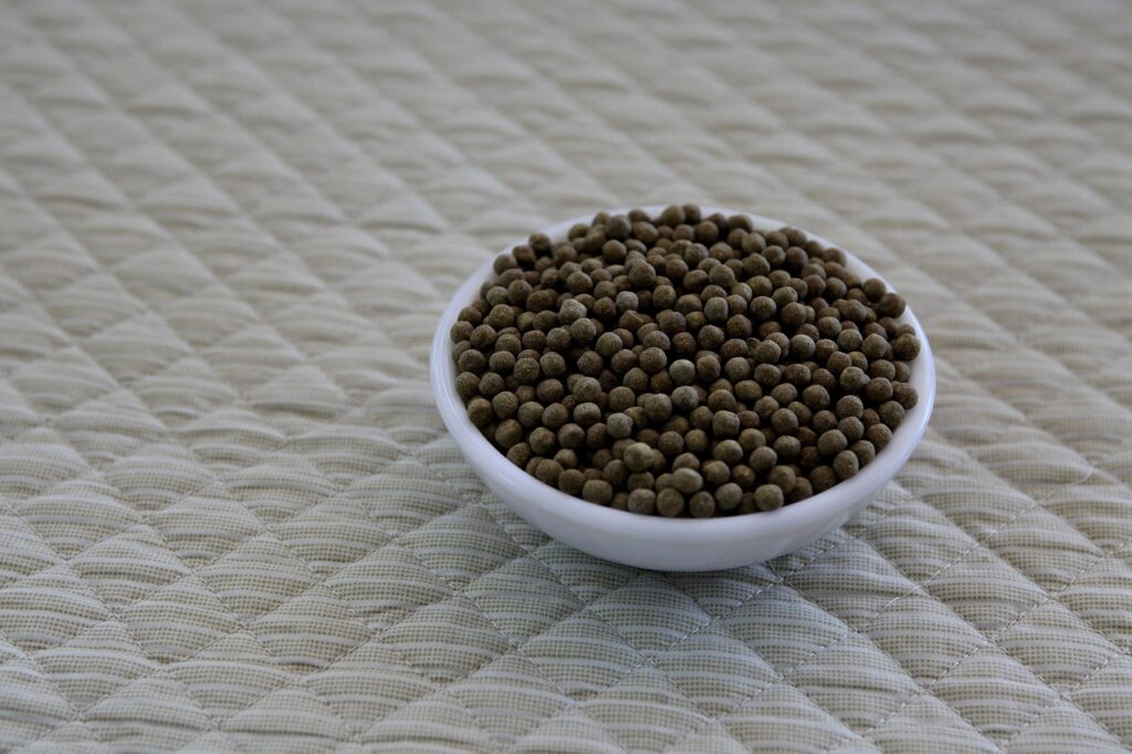 中学受験での苦手克服の成功例はどのようなものがある？