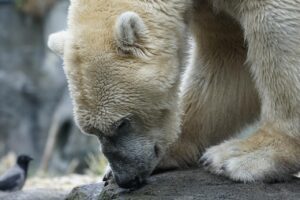 中学受験で家計の負担を減らす方法は？