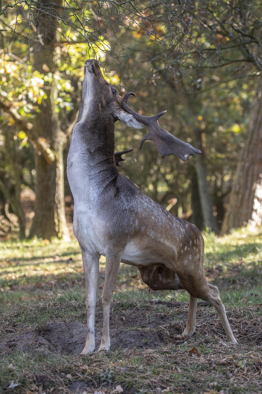 中学受験でメンタルを維持するためのコツは？