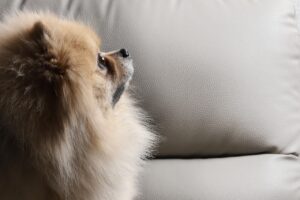 中学受験におけるメンタル維持のためのコツは？