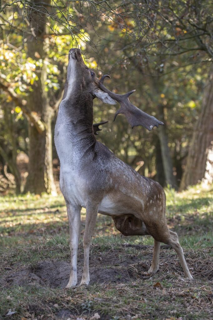 中学受験に向けたスマホ制限の方法は？