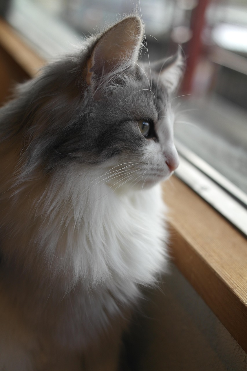 中学受験に向けた学習習慣のつけ方は？