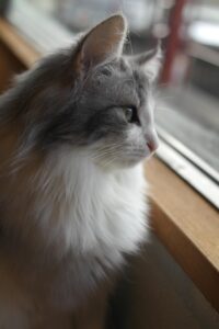 中学受験に最適な個別塾のおすすめは首都圏でどこ？