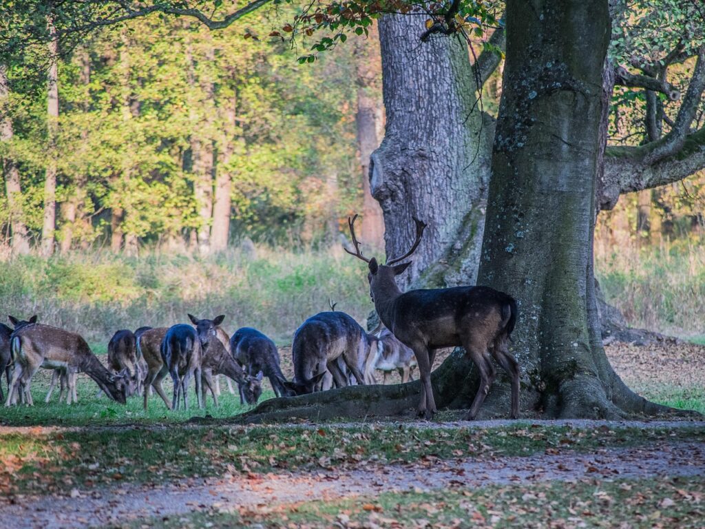 中学受験に最適な塾の無料体験はどこがおすすめ？