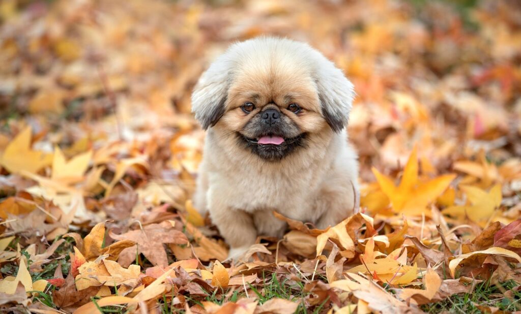 ケアレスミスを防ぐための効果的な対策は？