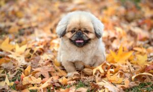 ケアレスミスを防ぐための効果的な対策は？