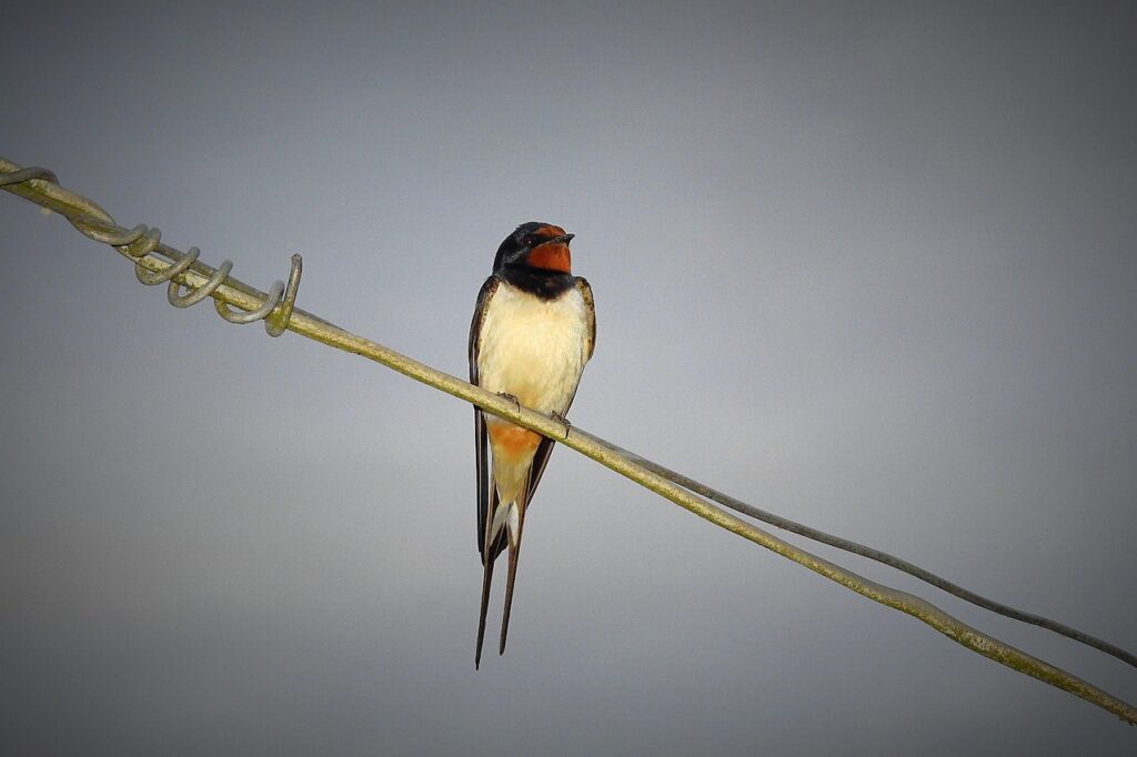 中学受験で残り半年を逆転させるための戦略は？