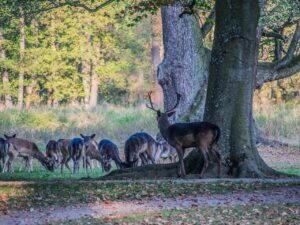 中学受験における共学男子校のメリットとデメリットは？