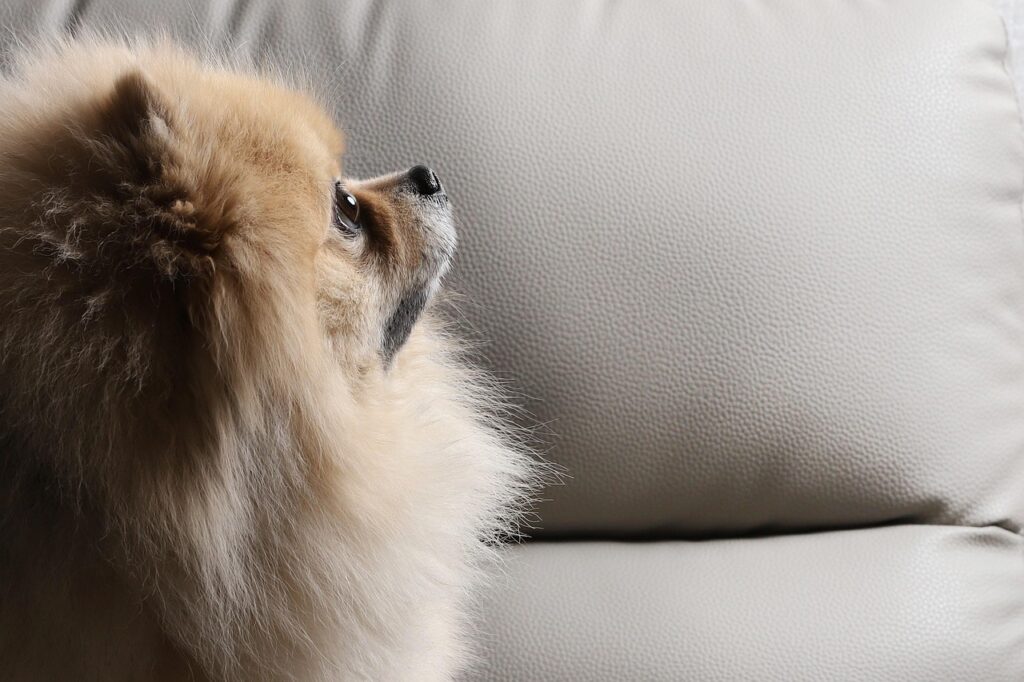 中学受験における合格最低点はどのくらい？