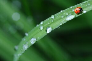 中学受験で算数の得点アップを狙うにはどうすればいい？